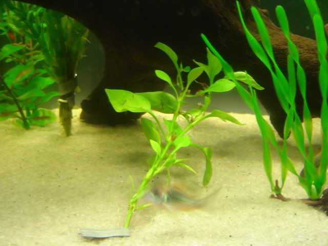 DSC00032.jpg