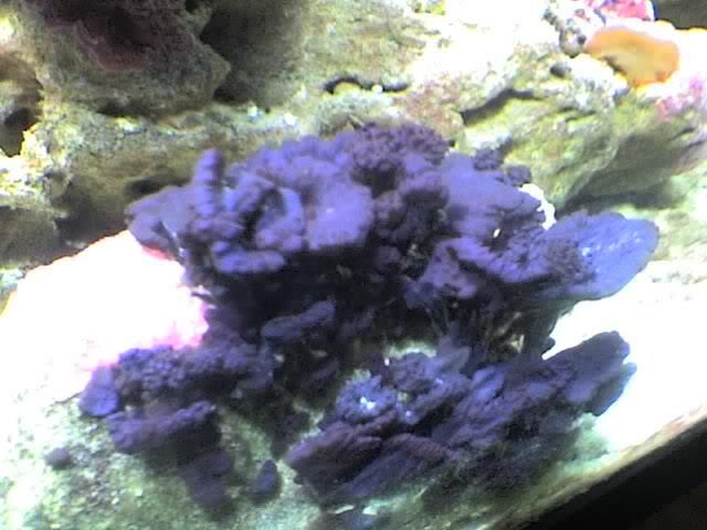 16-09-06_1909-1.jpg