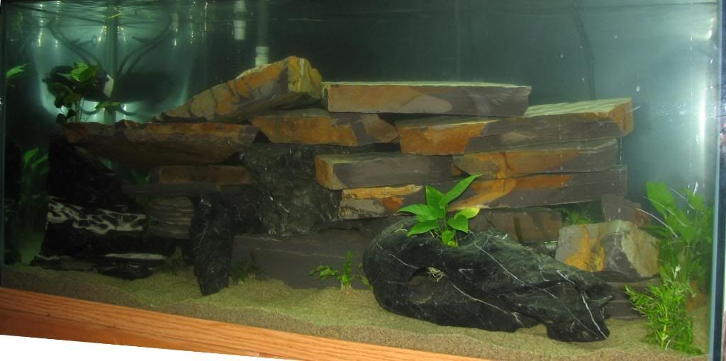 FishTank032.jpg