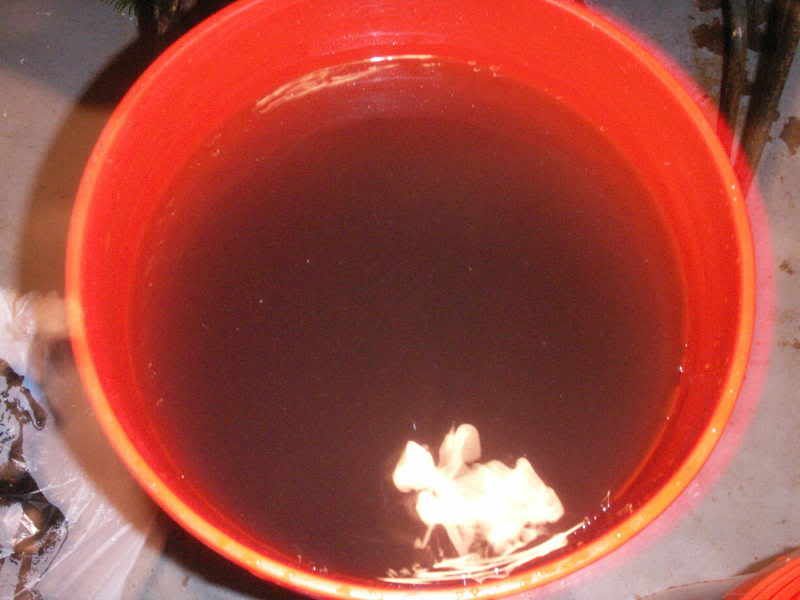 PICT0006_02.jpg