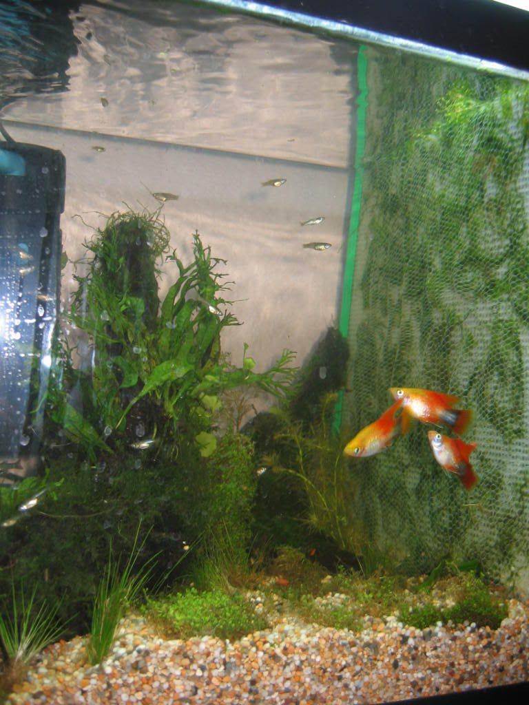 Picture026.jpg
