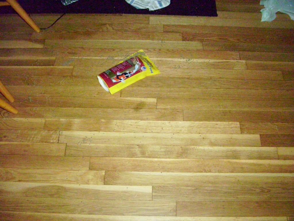 002-7.jpg