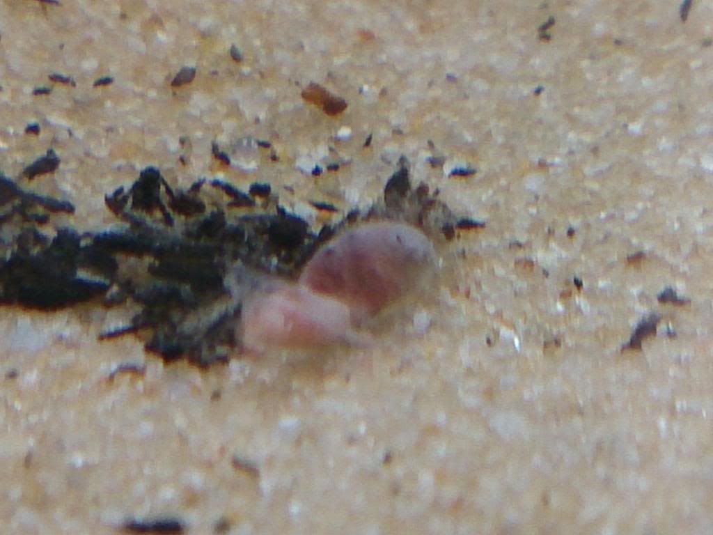 DSC_0318.jpg