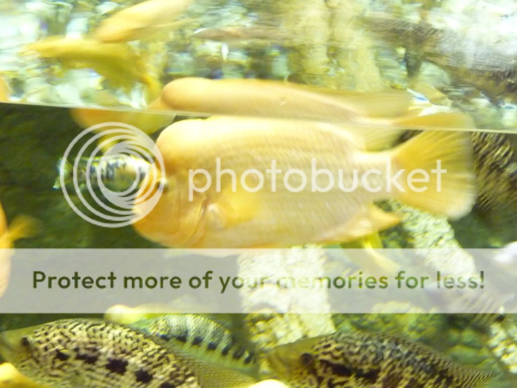 Dubai2009039.jpg