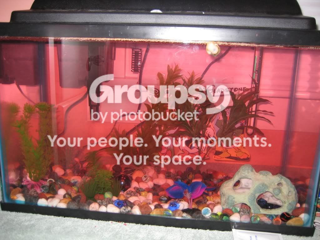 tank5.jpg