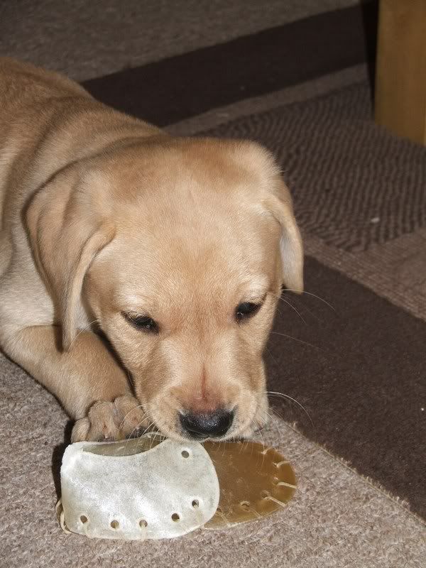 December2006014.jpg