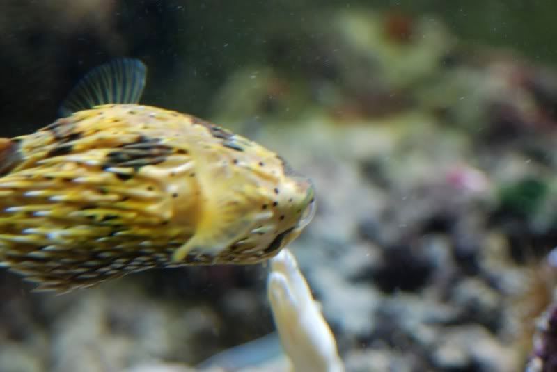 DSC_7217.jpg