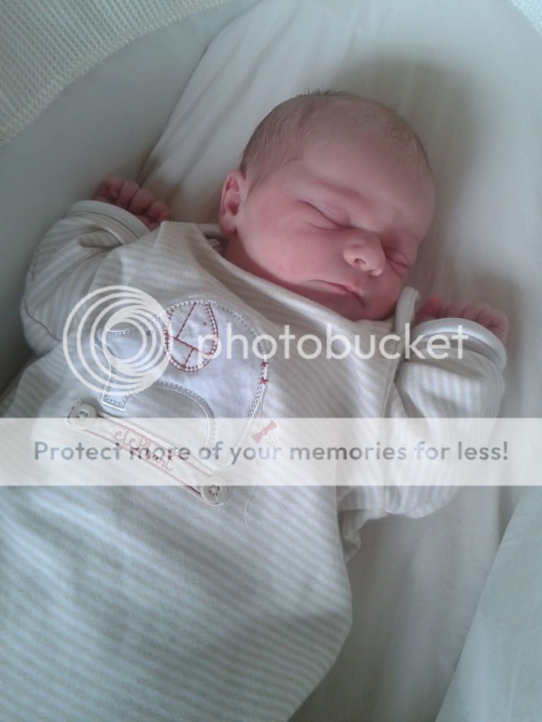 2011-07-04172037.jpg