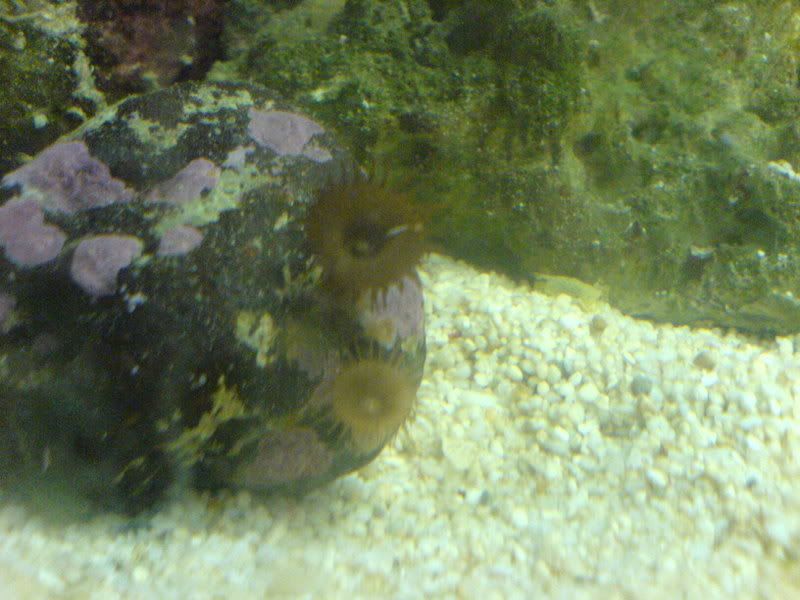 DSC01003.jpg