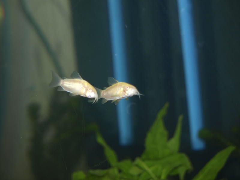 _9041567.jpg