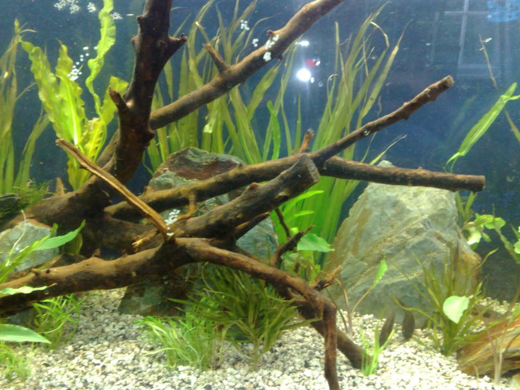 18082010049.jpg
