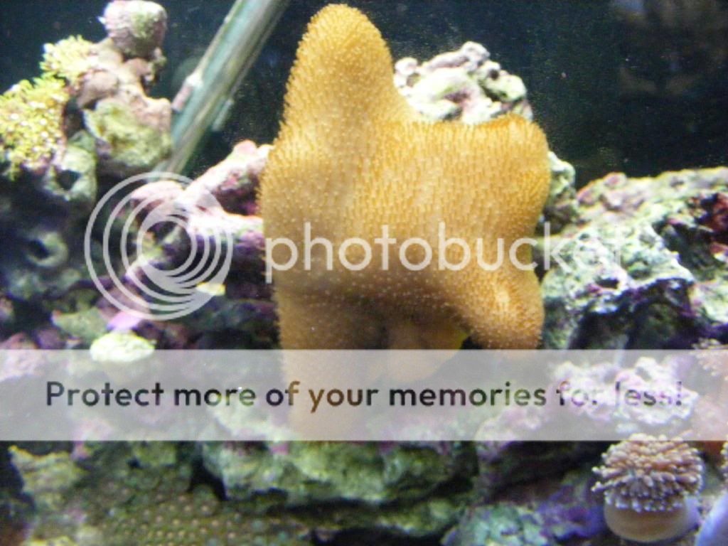 DSCF2859.jpg