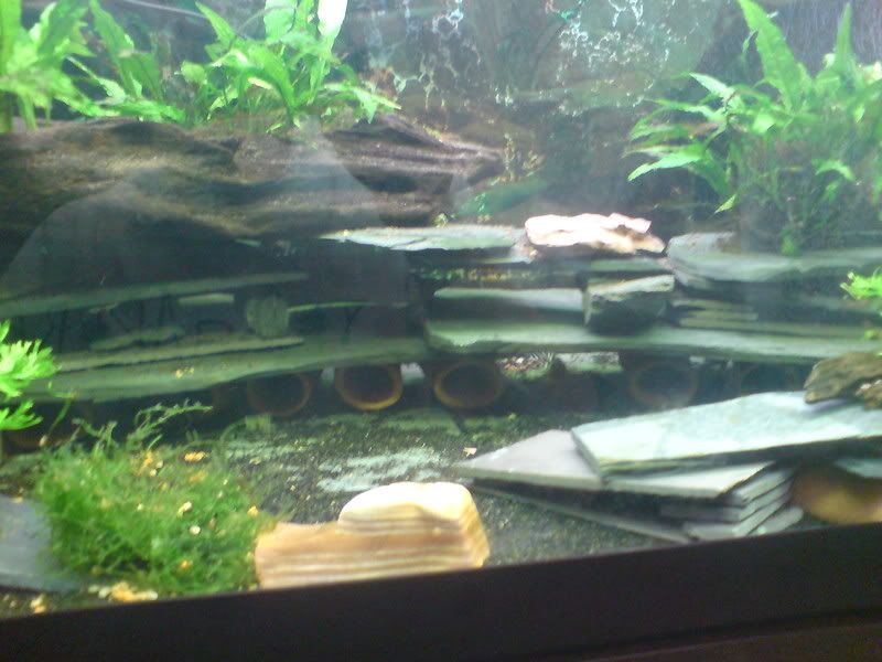 newpicsdecember010.jpg