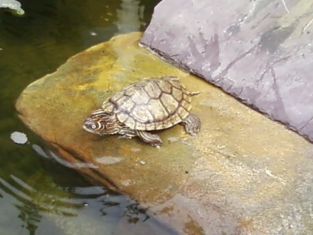 Photo-0039.jpg