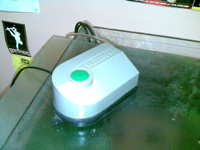 11082009004.jpg