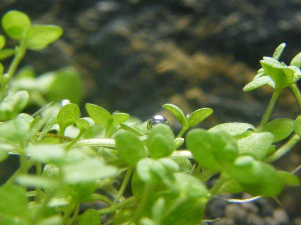 DSCF4615.jpg