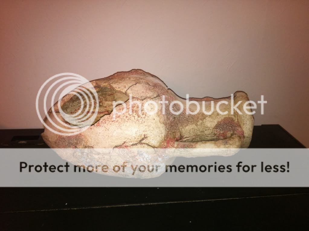 photo4.jpg