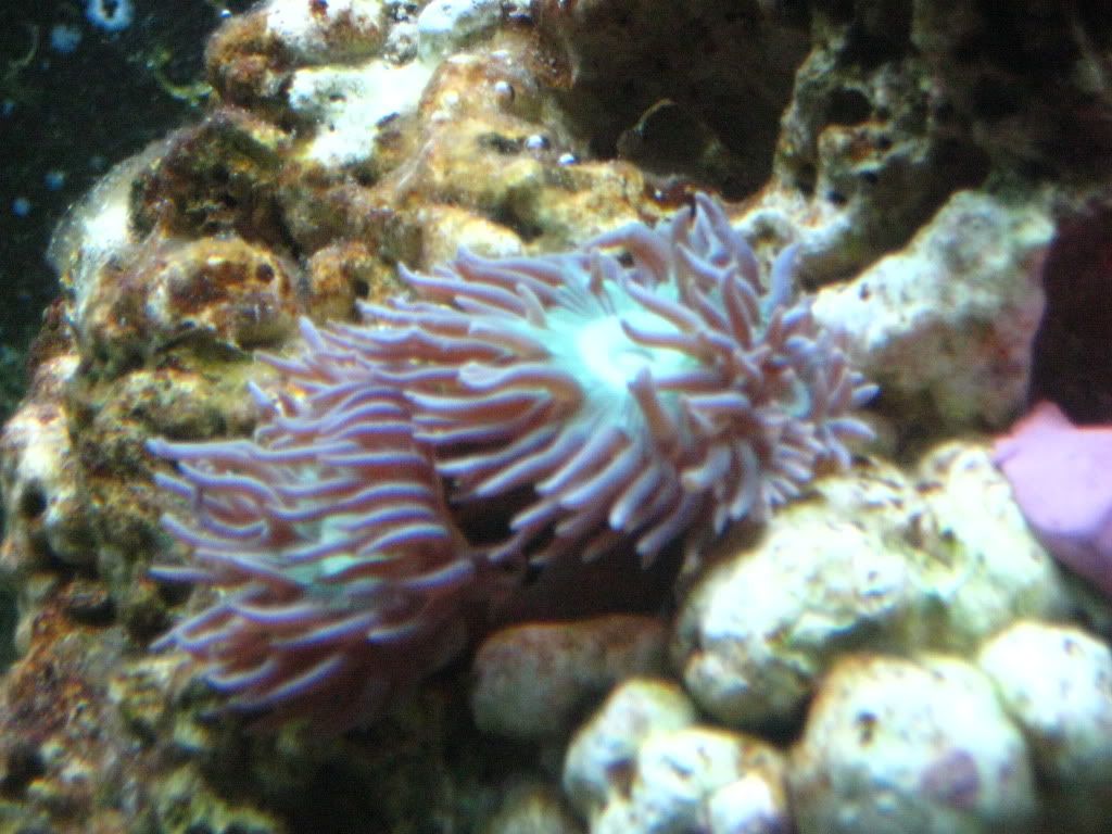 IMG_2844.jpg