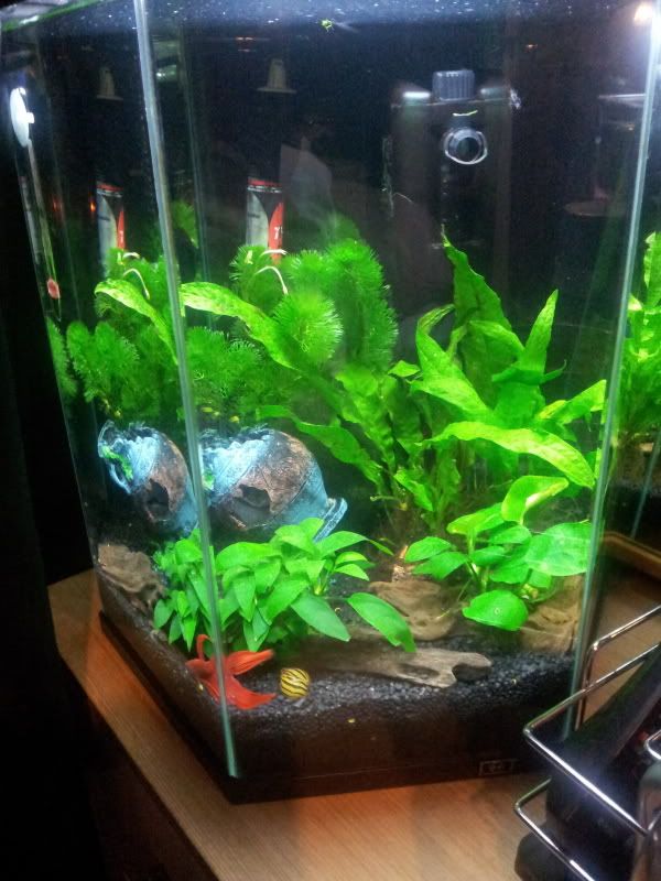 2012-03-17210019.jpg