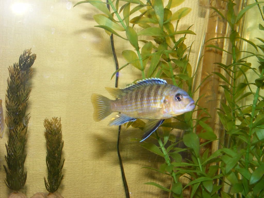DSCF3043.jpg