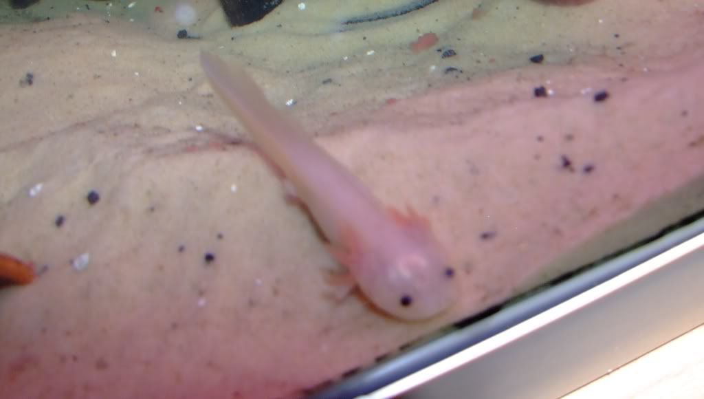 DSCF8823.jpg