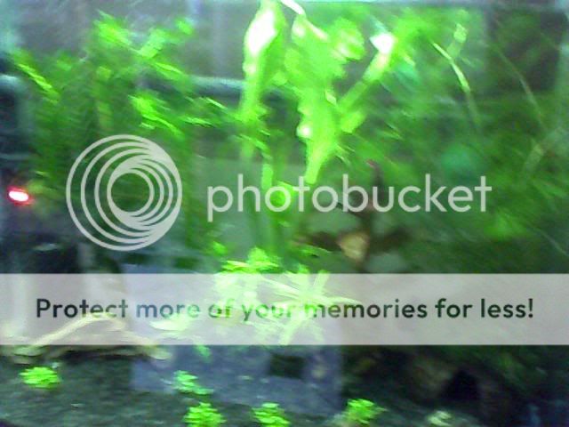 Image_00055.jpg