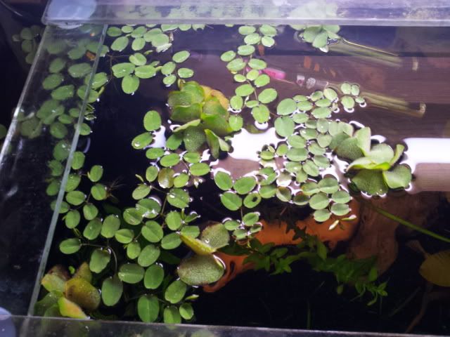 20120607_143359.jpg