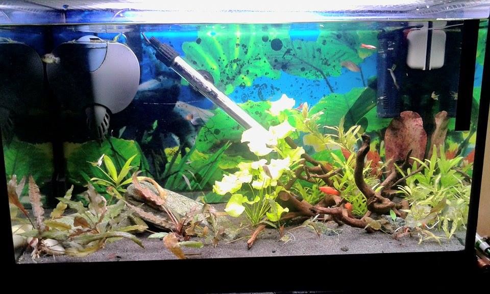 Tank_zps4a76a3f5.jpg