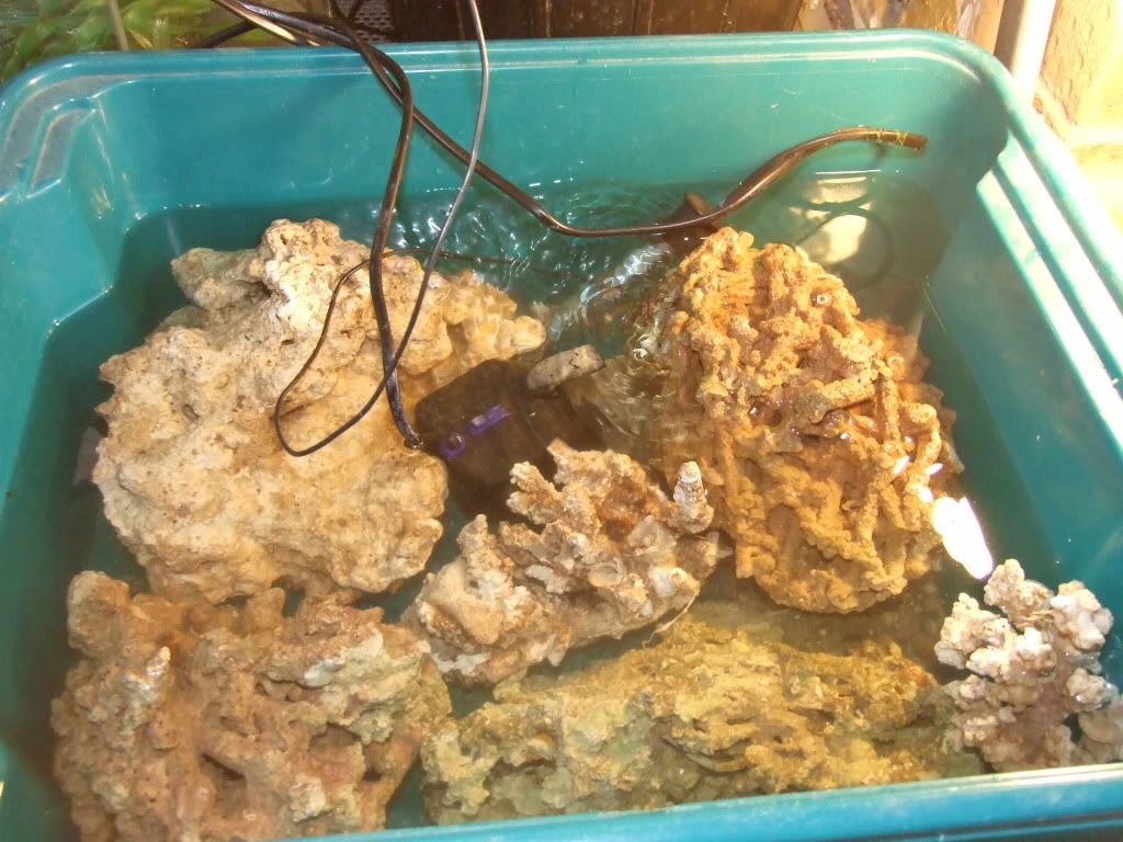 Picture855.jpg