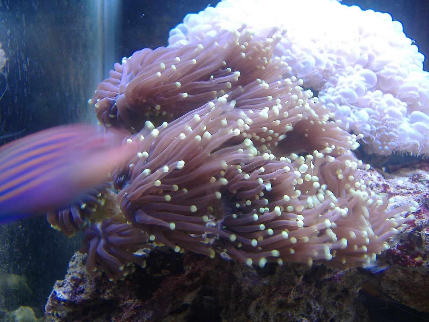 DSCF0628.jpg