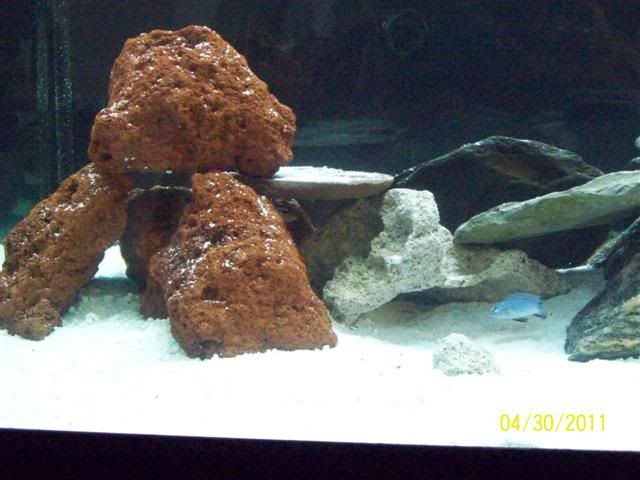 102_3604.jpg