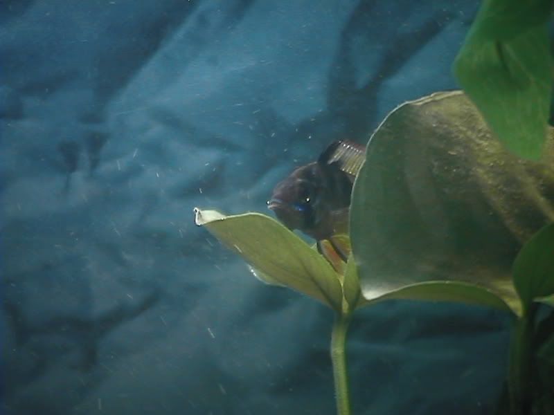 DVC01806.jpg