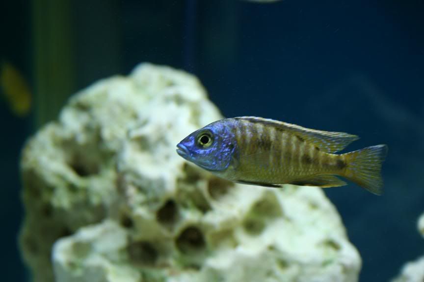 p7.jpg