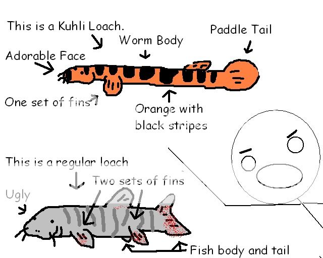knowthedifference.jpg