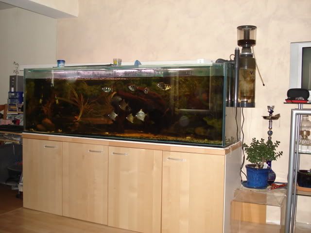 DSC01741.jpg