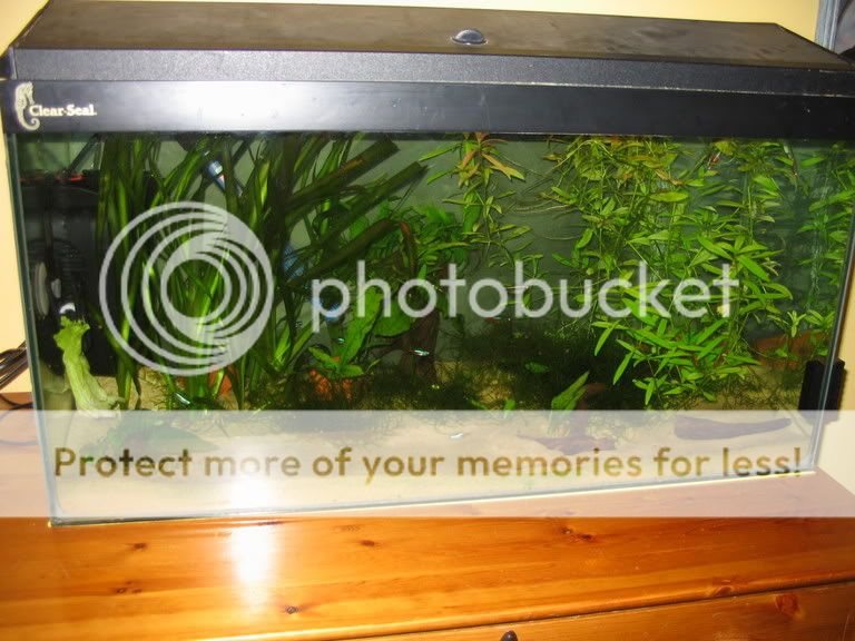 IMG_1045.jpg