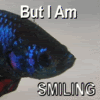 smiling-1.gif