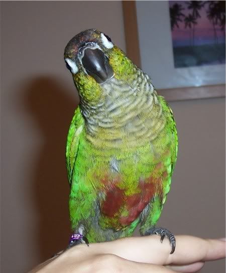 281005ozzy2.jpg