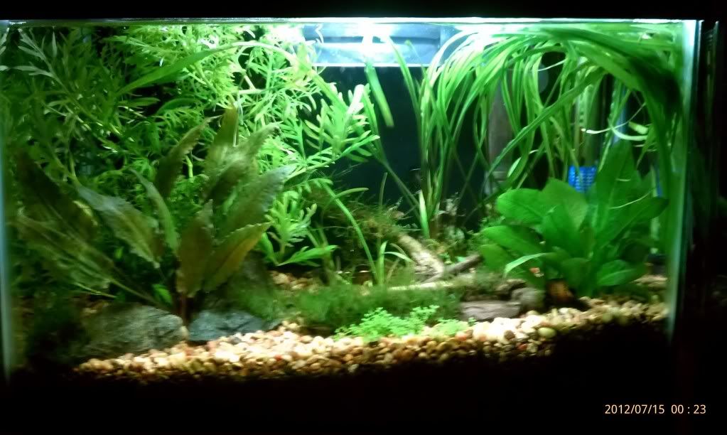 IMAG0535.jpg