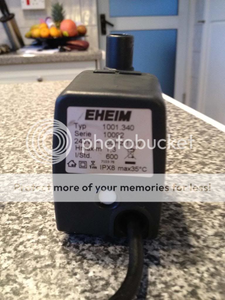 ehiem1.jpg