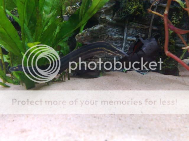26122008058.jpg
