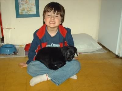 DylanPuppy1.jpg