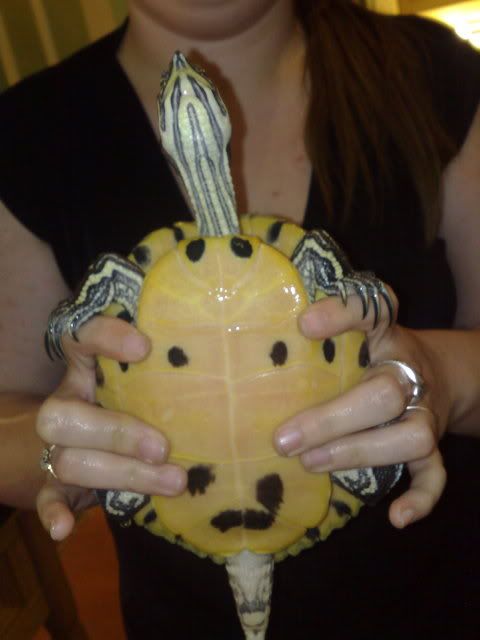 030920091260.jpg