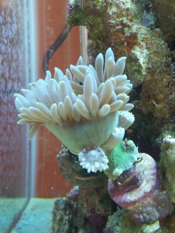 20120310_112735.jpg