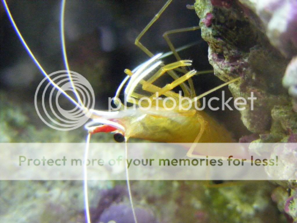 newfish023.jpg