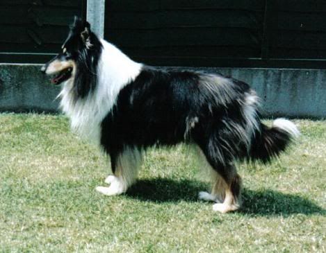 cleo1.jpg