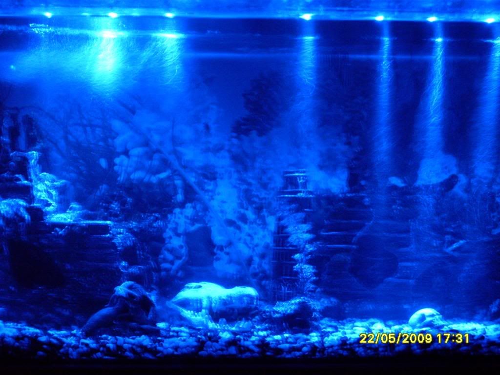 7e03fa64.jpg