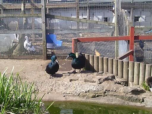 Photo0013.jpg