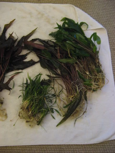 20090502013.jpg