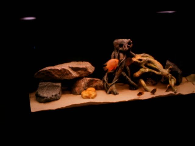 imag0099.jpg